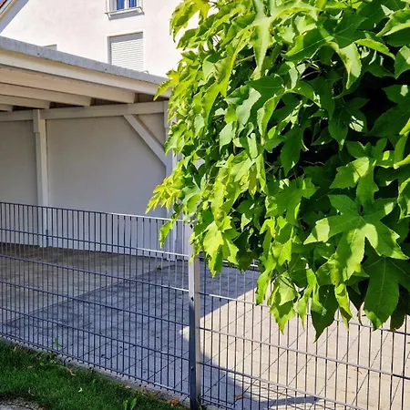 Ferienwohnung Ingolstadt Eichstaett Altmuehltal Eitensheim Exterior photo